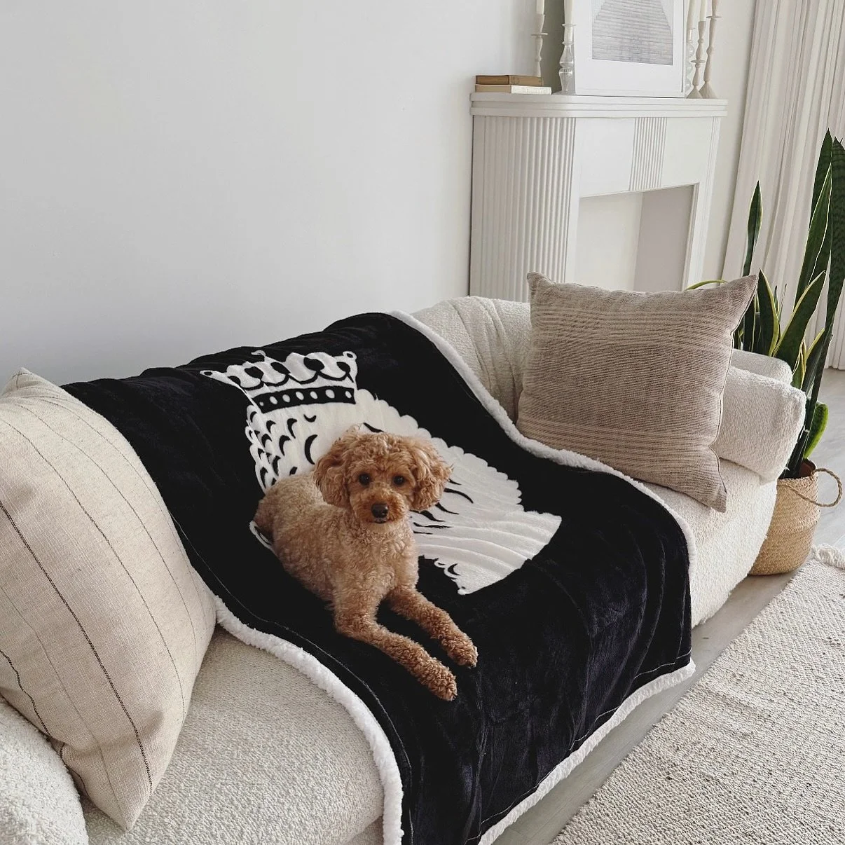 Shaq&rsquo;s not moving.
He found his spot on the new Nagi Pets blanket &mdash; and he&rsquo;s not sharing.
Just a little sneak peek&hellip; something cozy (and adorable) is coming soon.

#Nagipets #PetBlanket #ComingSoon #PetComfort #DogLife #Behind