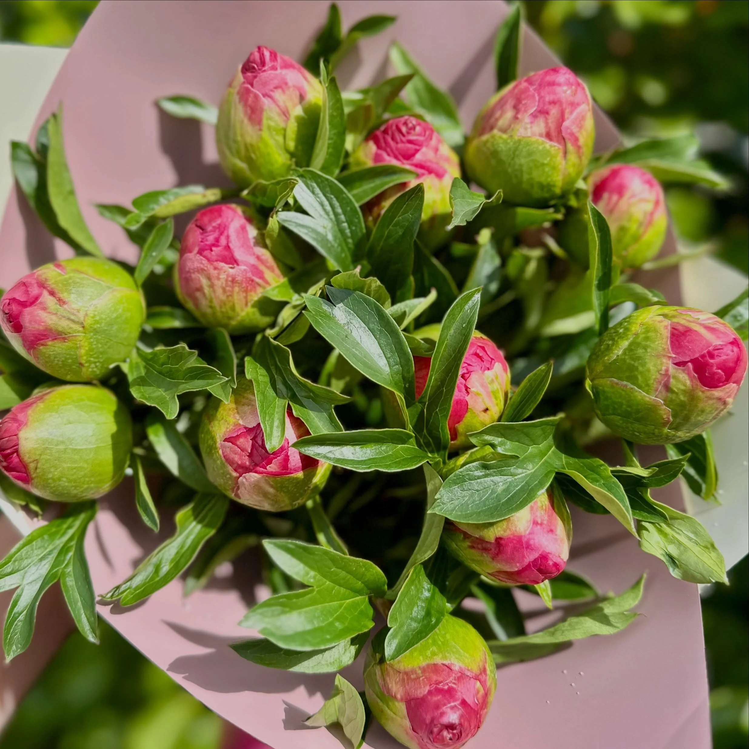 We&rsquo;re in that slightly tricky in-between season for focal flowers at the moment. The tulips are pretty much finished and the ranunculus are nearing the end. BUT I&rsquo;m very grateful to have access to some beautiful peonies this year along wi