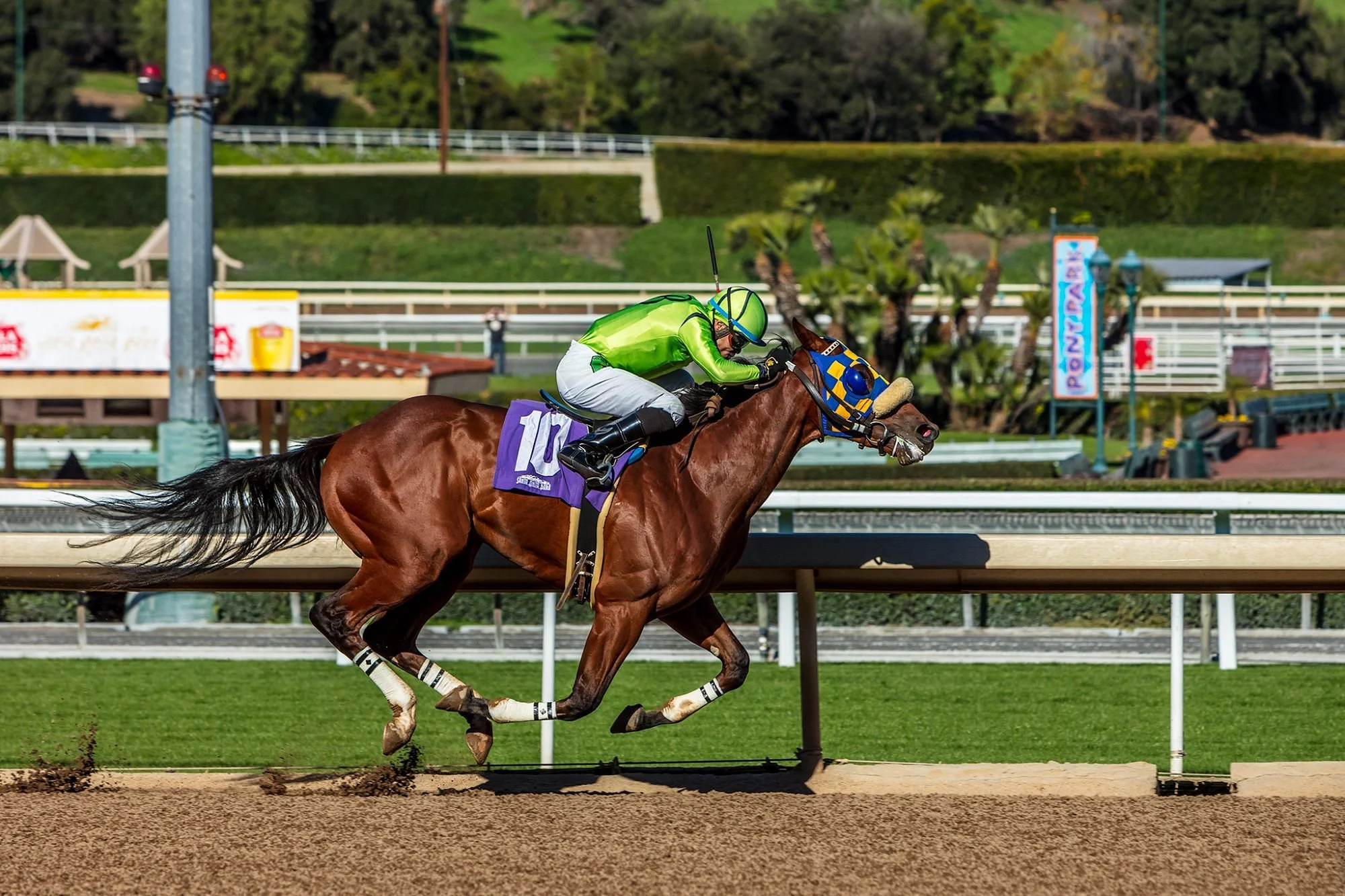 Running the Numbers: How to Show Horse Racing Is a Business and Not a Hobby