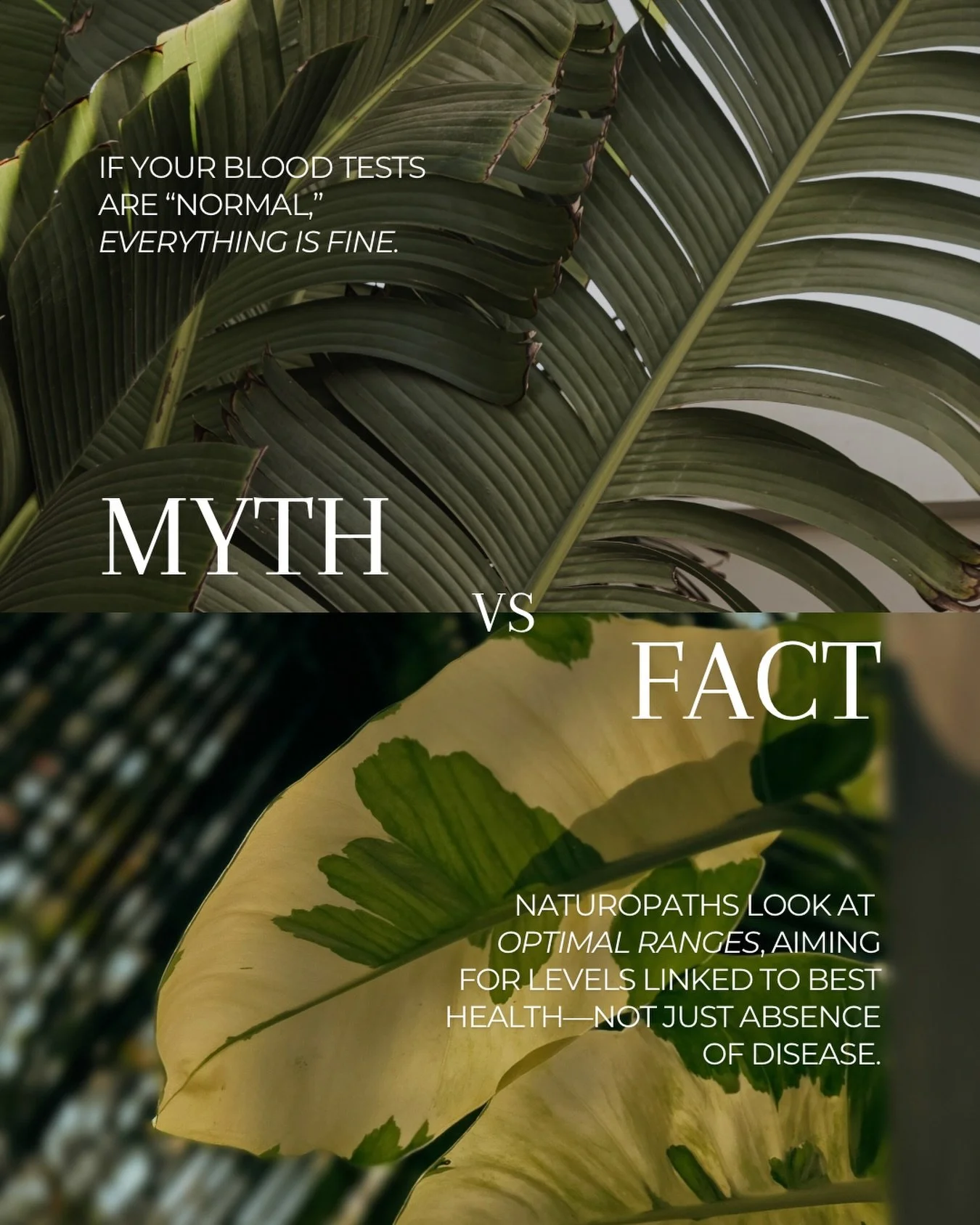&ldquo;Normal&rdquo; doesn&rsquo;t always mean optimal.

In conventional testing, results are often flagged only when they fall outside a reference range &mdash; which is designed to detect disease, not necessarily ideal function.

In naturopathic pr