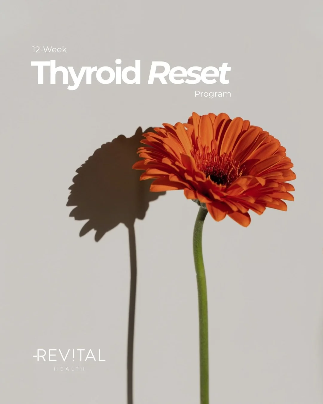 So many people are told their thyroid is &ldquo;fine&rdquo; while still struggling with:
&bull; exhaustion
&bull; brain fog
&bull; low motivation
&bull; hair thinning
&bull; weight changes
&bull; feeling disconnected from their body

The problem is t