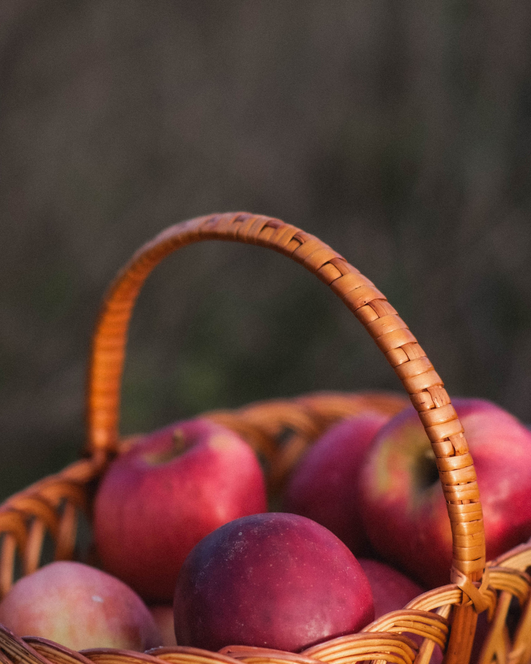 Seasonal Formulas: What Changes and Why?
