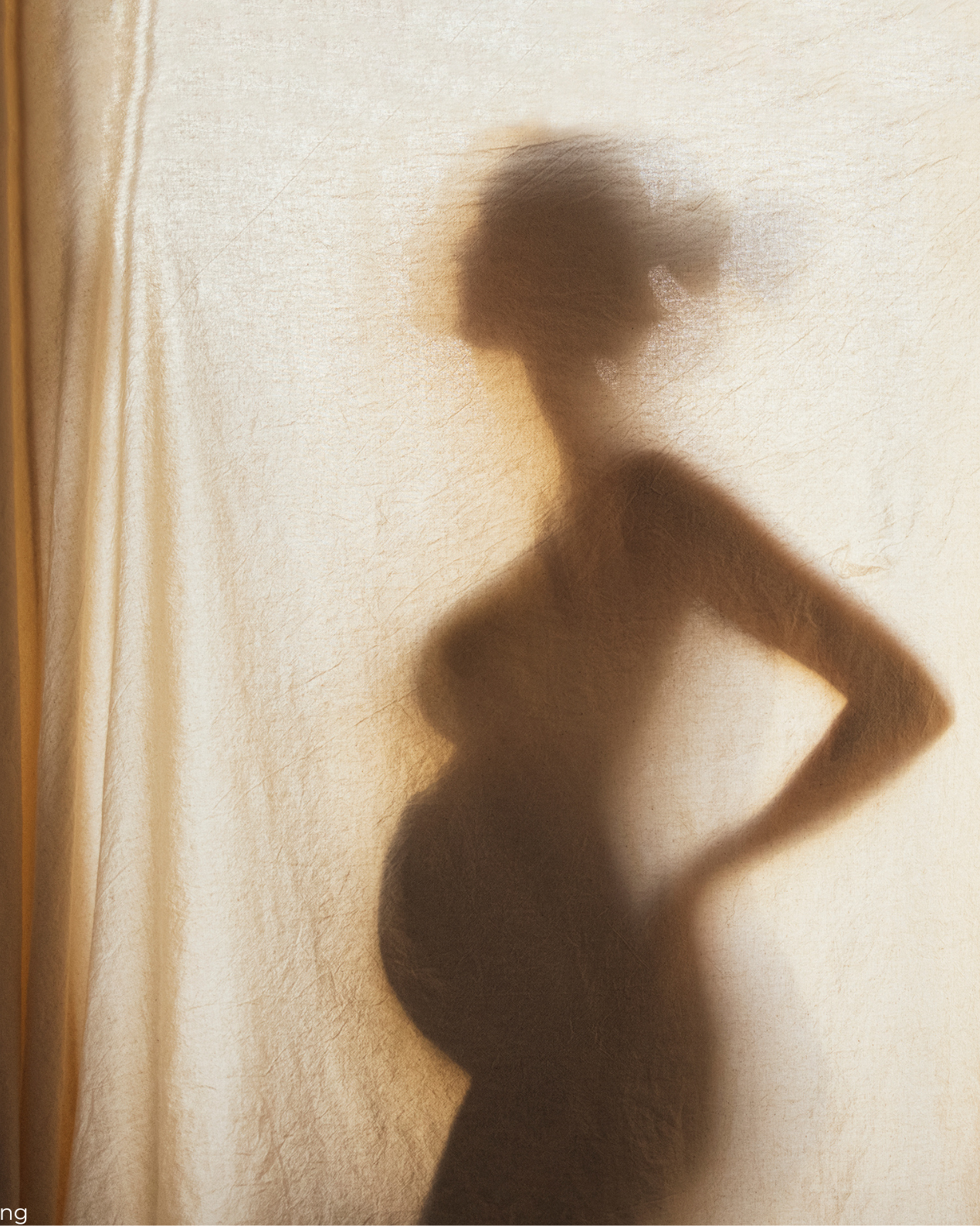 The Fertility Reset Revital Health