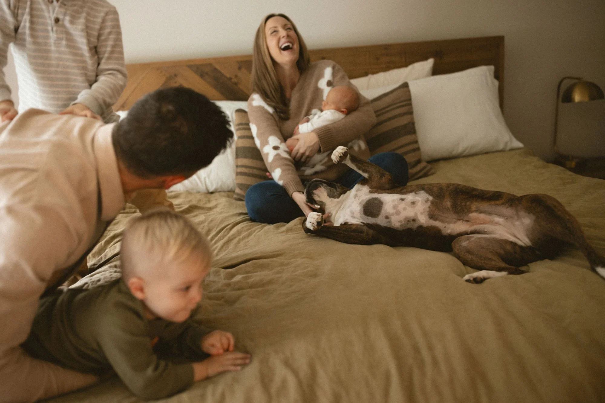 A family laughs together with their newborn, toddler, and dog during an in-home lifestyle newborn photography session in the Bellevue and Redmond area.
