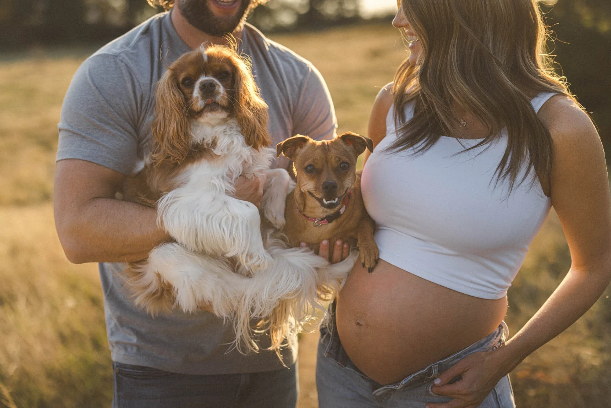 Outdoor maternity photo in Seattle of expecting couple holding their dogs, golden hour pregnancy portrait with baby bump