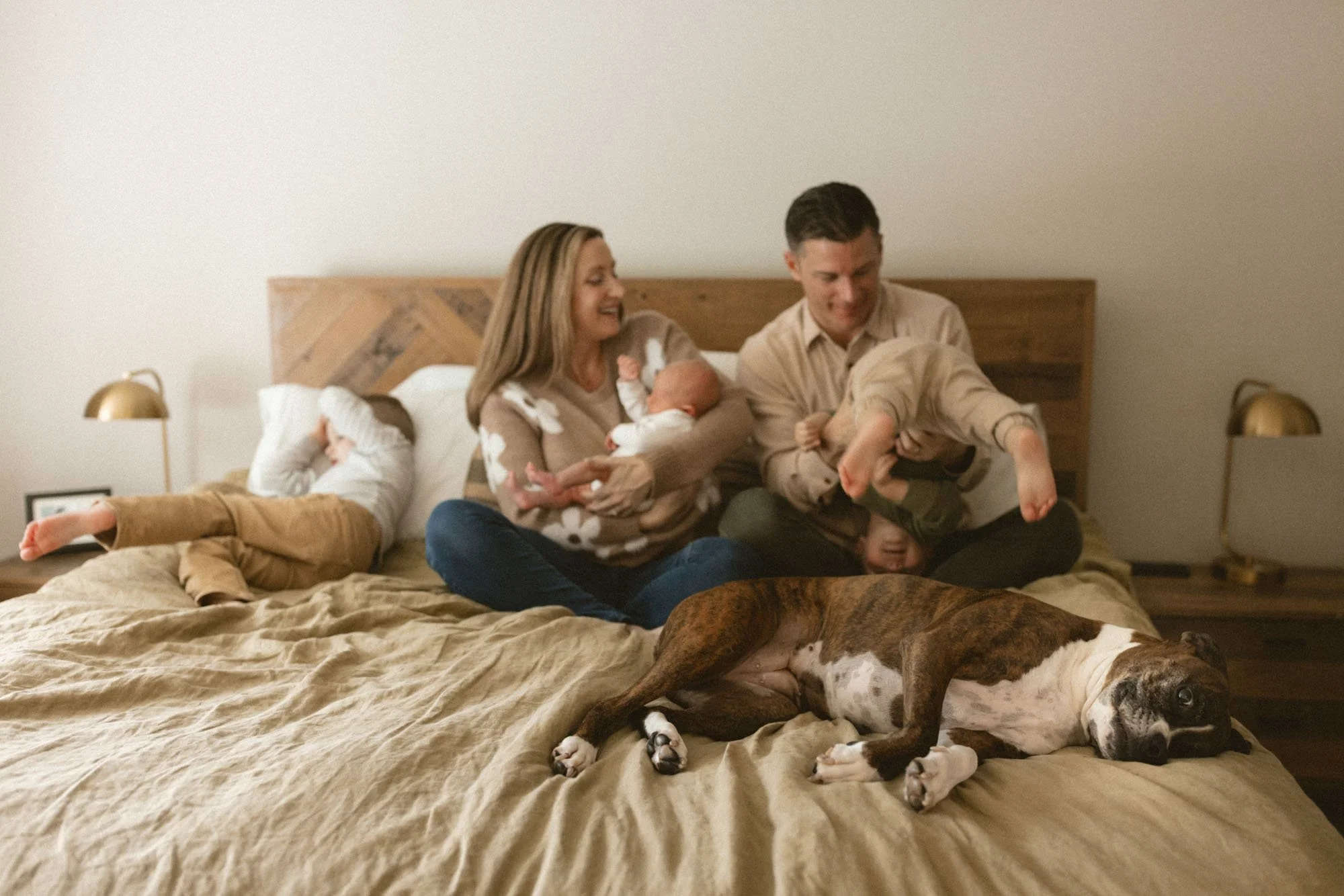 A playful family sits on a bed with their newborn, children, and dog during a cozy in-home newborn family photography session in the Bellevue and Redmond area by Atsumi Sullivan Photography.