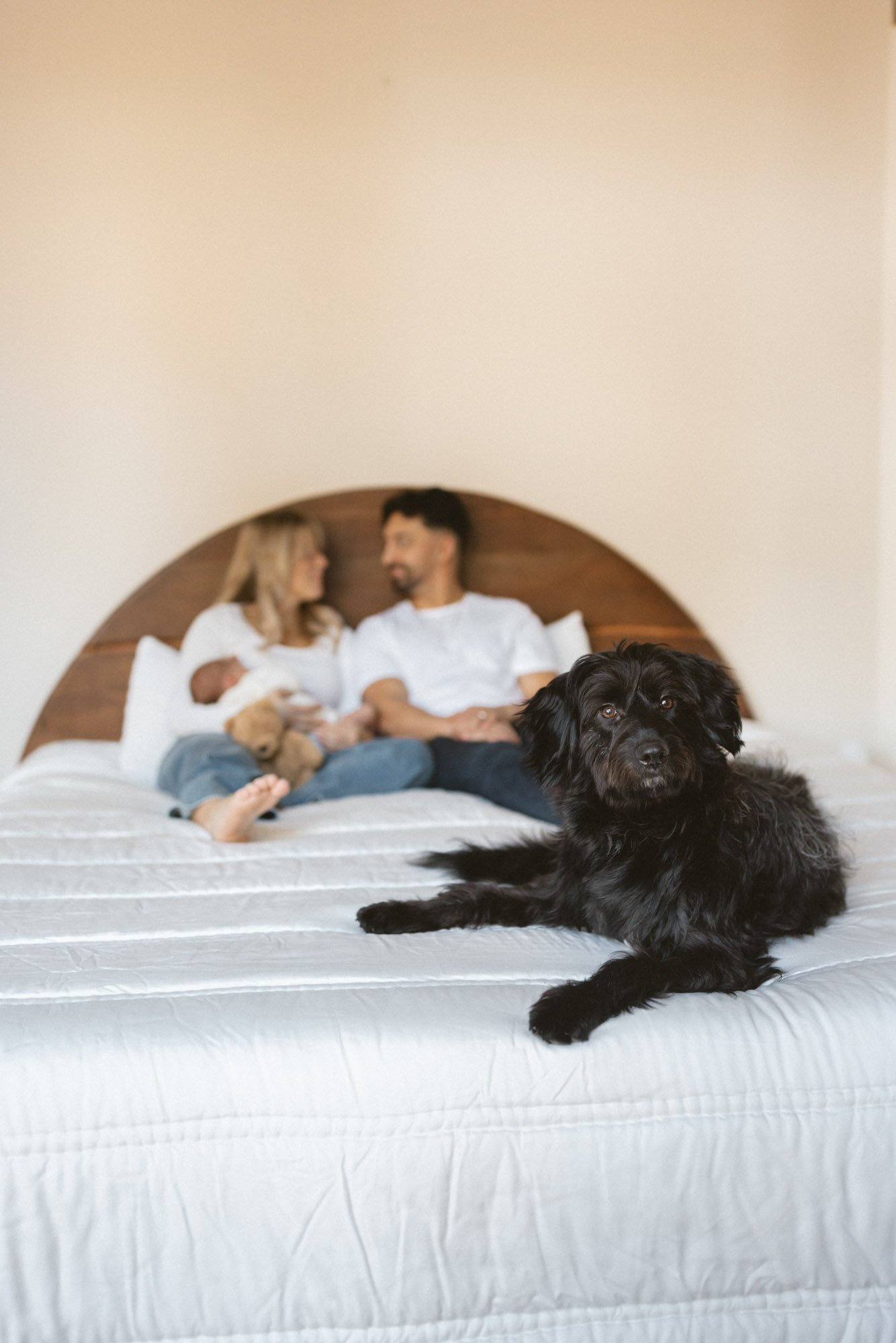 Family relaxing on their bed with their newborn while their dog rests in the foreground during a Seattle in-home lifestyle newborn photography session by Atsumi Sullivan.