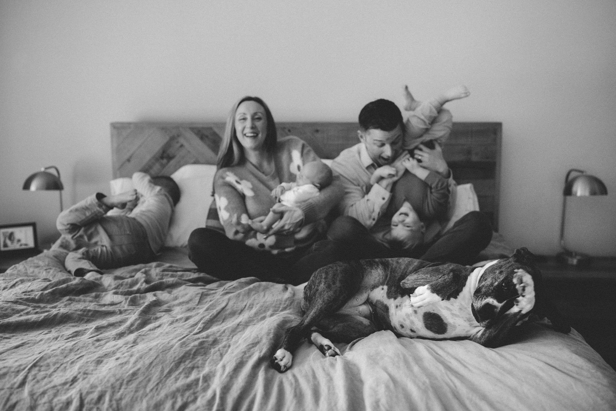 A family relaxes and laughs together on a bed with their newborn baby, children, and dog during a cozy in-home newborn family photography session in the Bellevue and Redmond area.