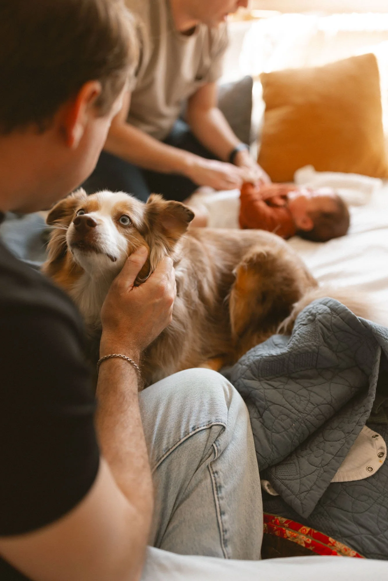 A relaxed lifestyle newborn moment with two dads, their baby, and beloved dog, capturing the full family dynamic in a warm and natural home setting.