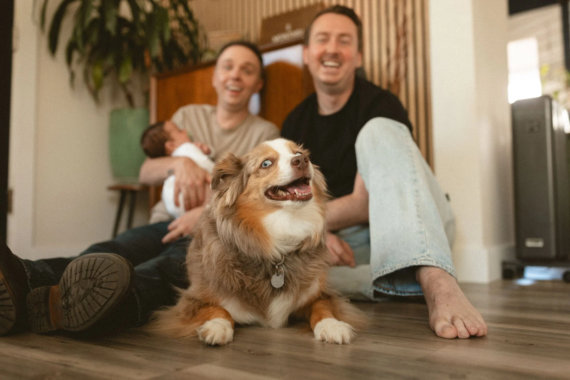 A playful and heartfelt in-home moment where the family dog takes center stage while the dads hold their newborn, capturing personality and everyday life.