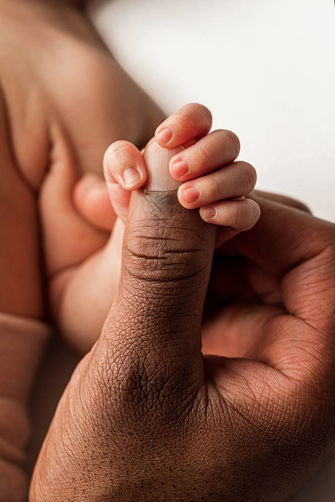 Close-up of a newborn baby’s tiny hand holding their father’s finger during a Seattle newborn photography session.