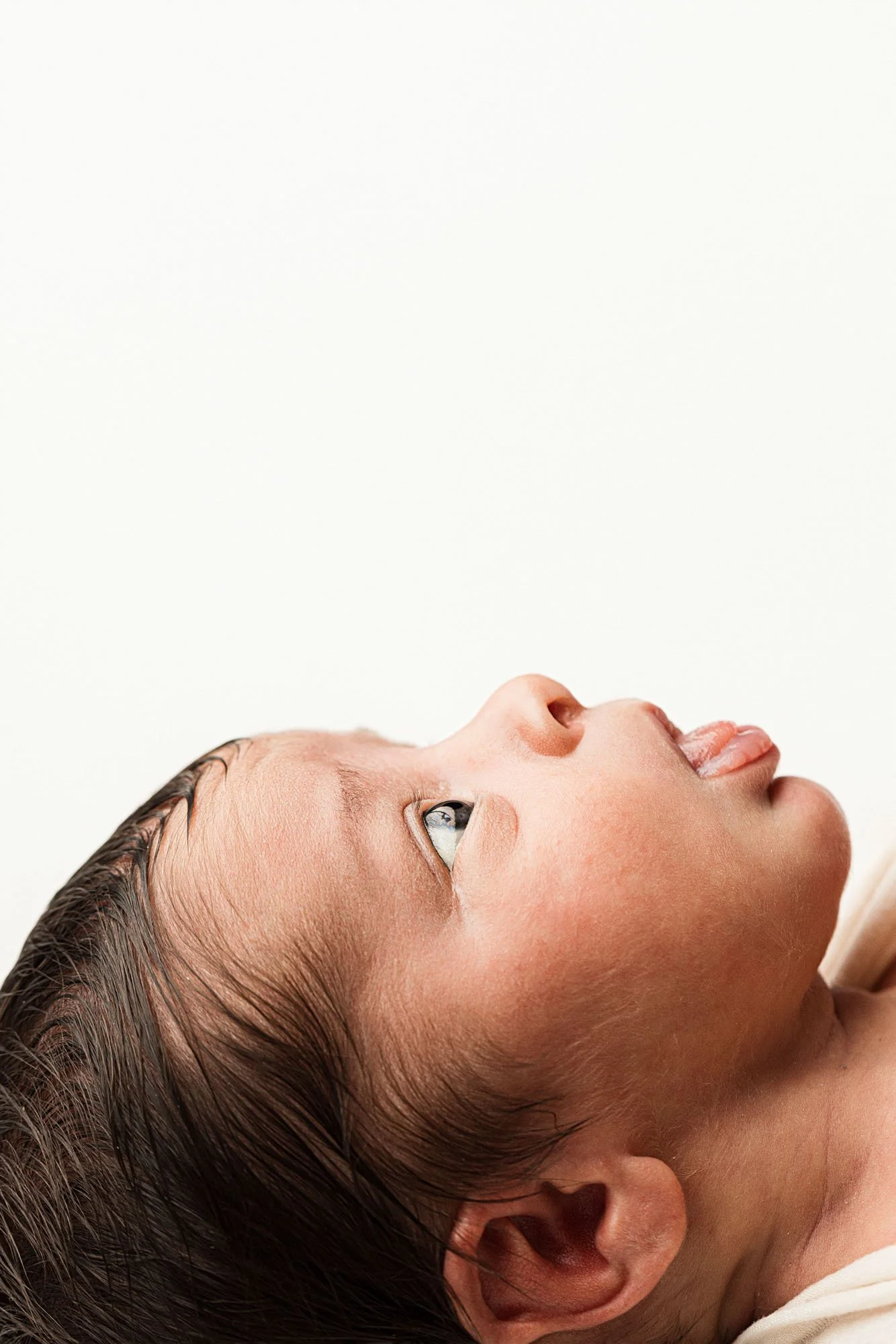 Close-up of a newborn baby’s face looking upward, highlighting delicate features and soft skin in a natural light studio session in Seattle