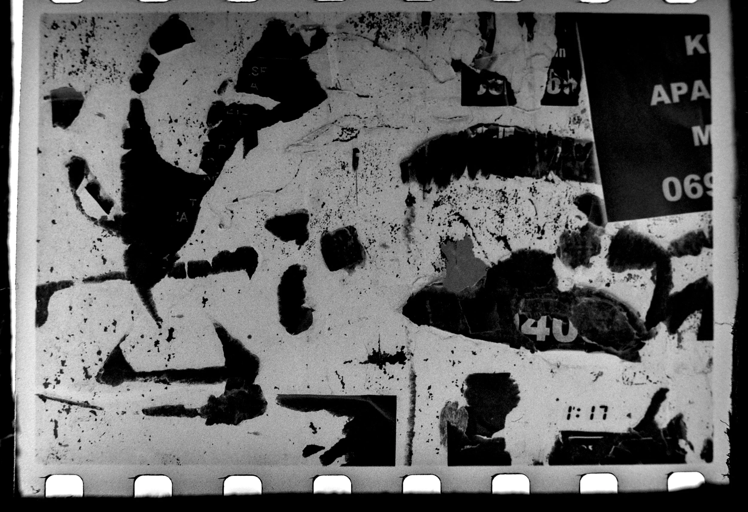 DSCF4077.jpg