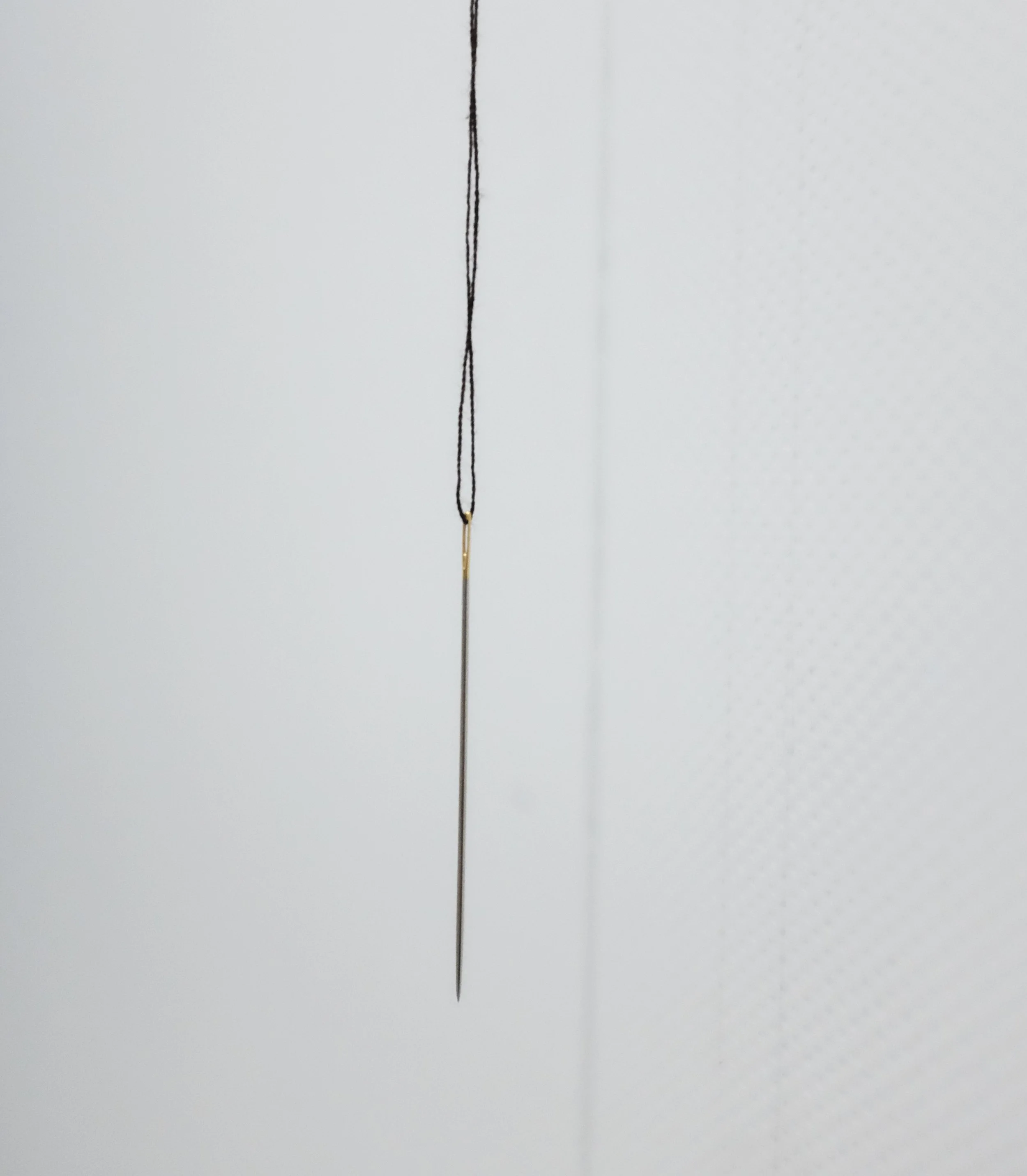 DSCF1660.JPG