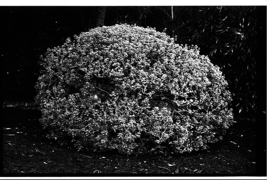 Screenshot 2025-06-22 at 4.53.02 PM.png