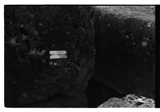 France Dijon-Lyon_20250328_0090.jpg