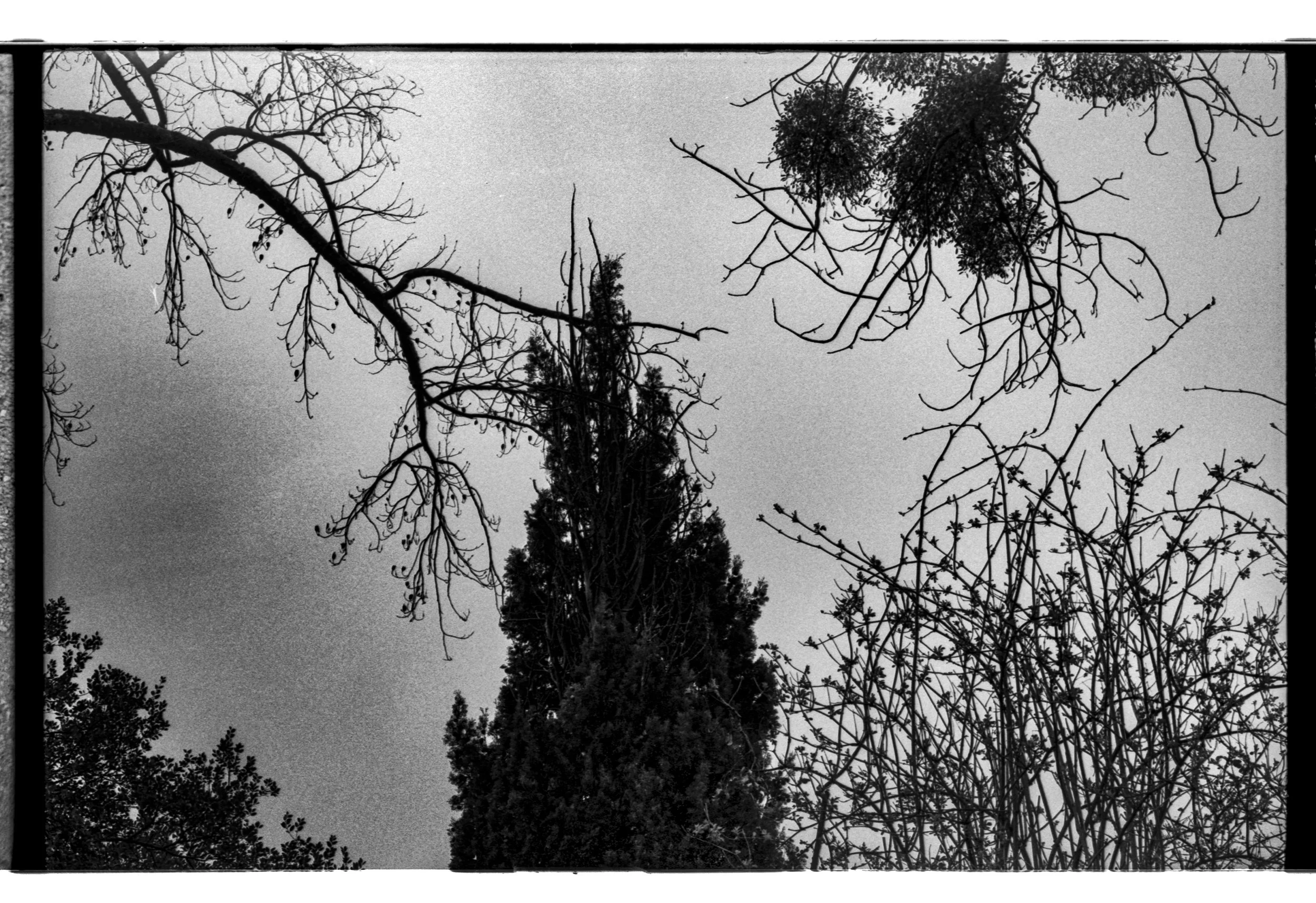 France Dijon-Lyon_20250328_0026-1.jpg