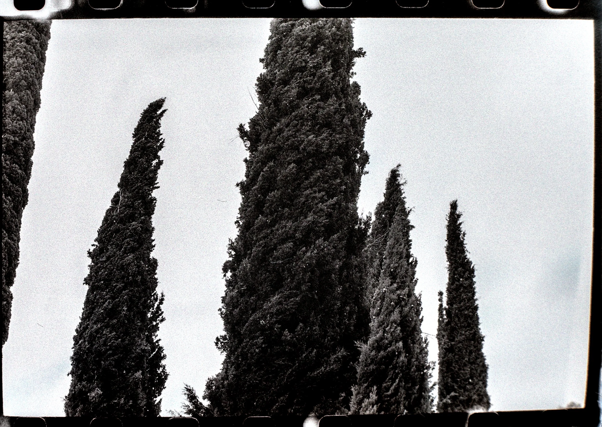 DSCF4023.jpg