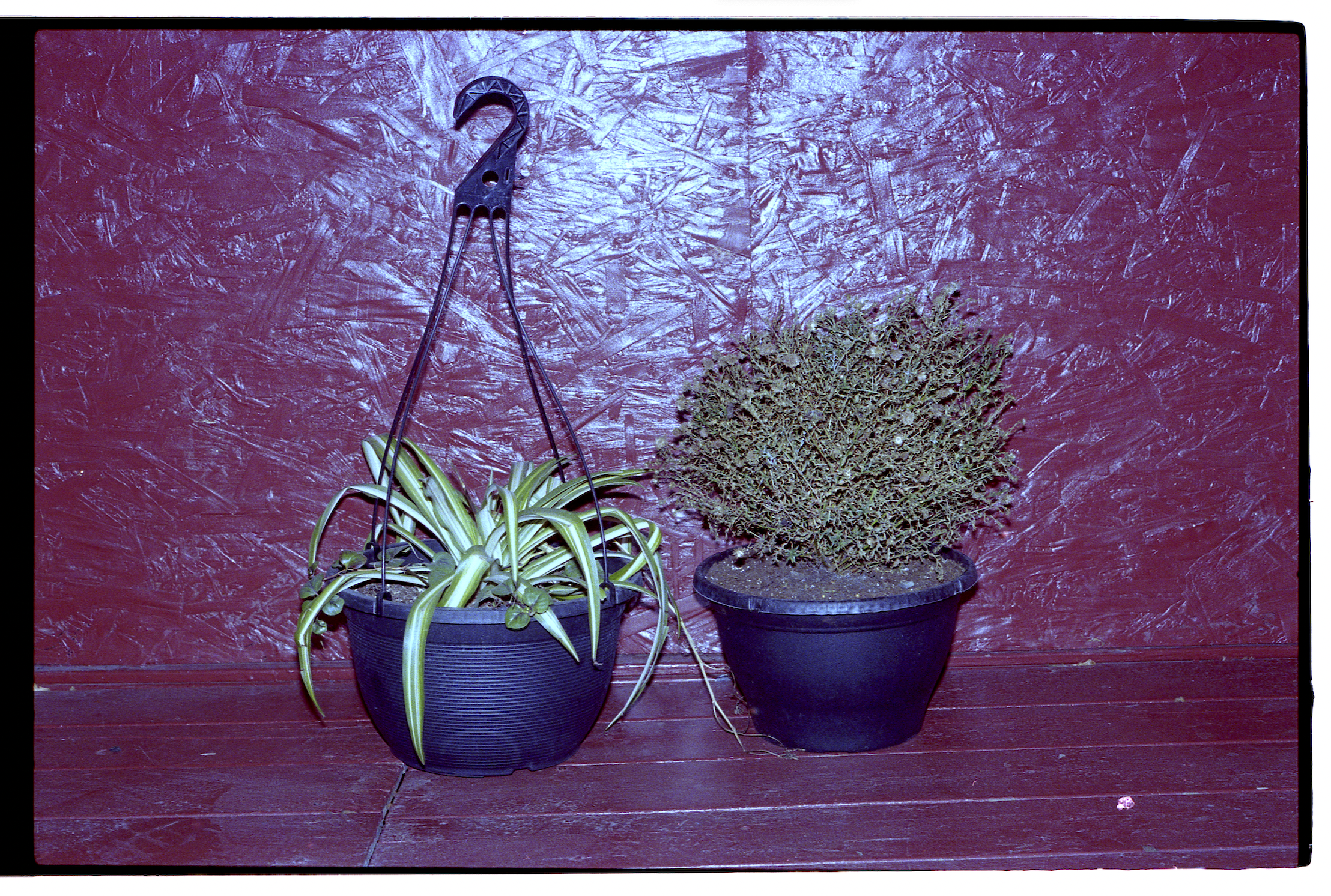 Screenshot 2025-03-10 at 10.39.27 PM.png