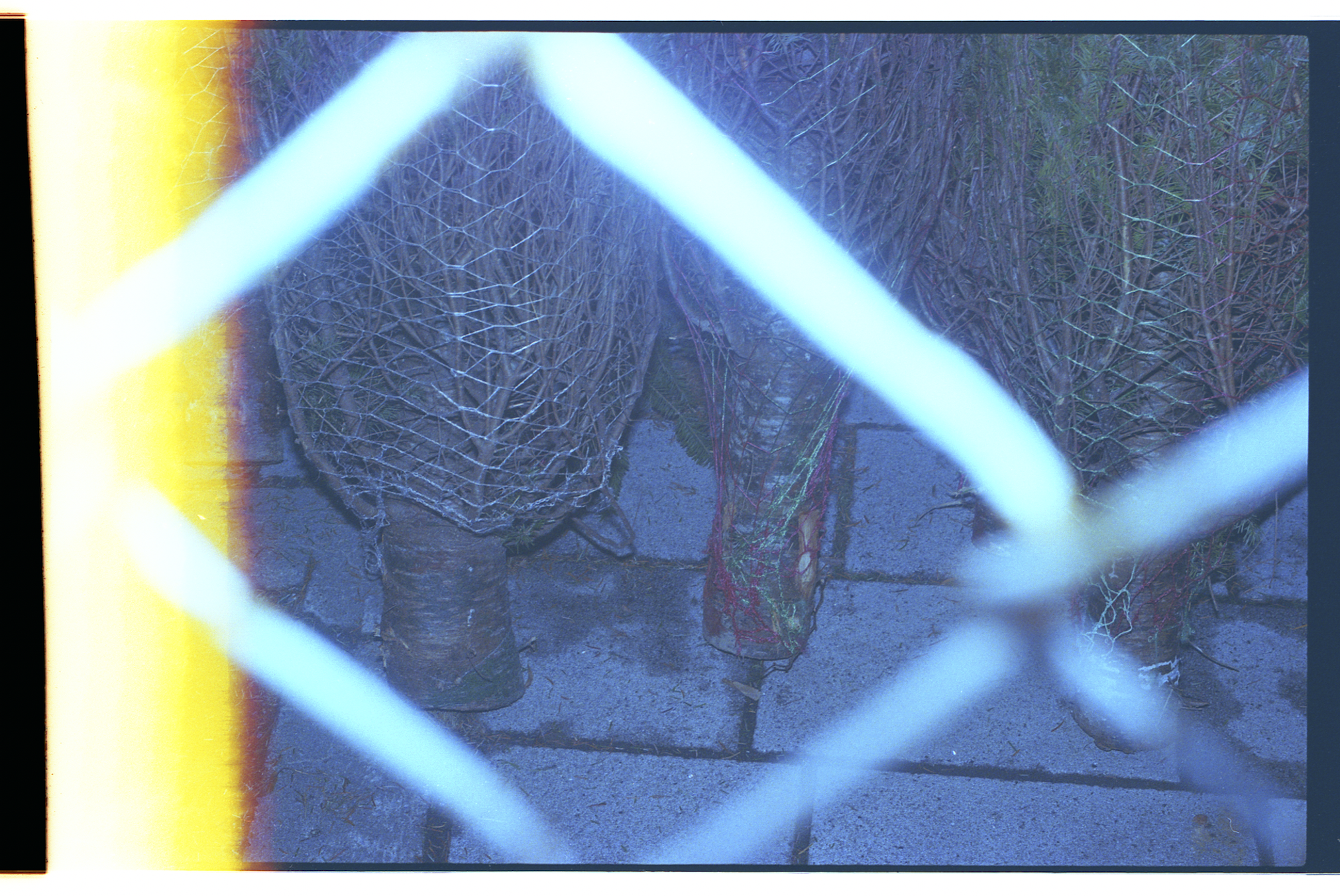 Screenshot 2025-04-03 at 10.09.31 PM.png