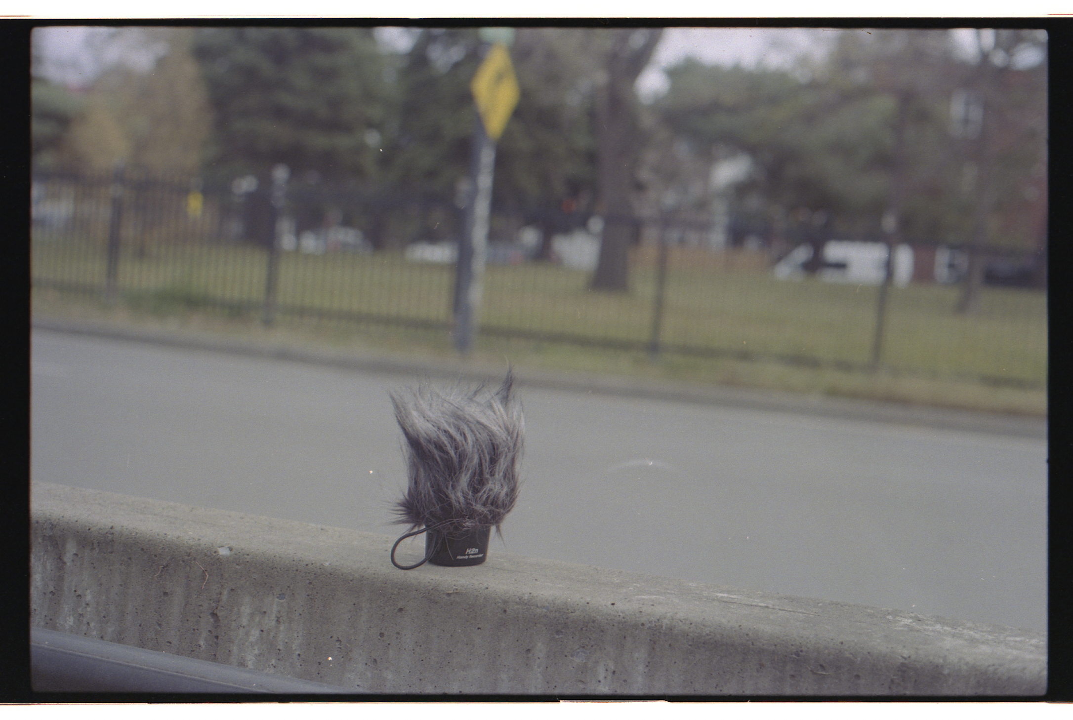 Screenshot 2025-03-13 at 1.13.44 PM.png