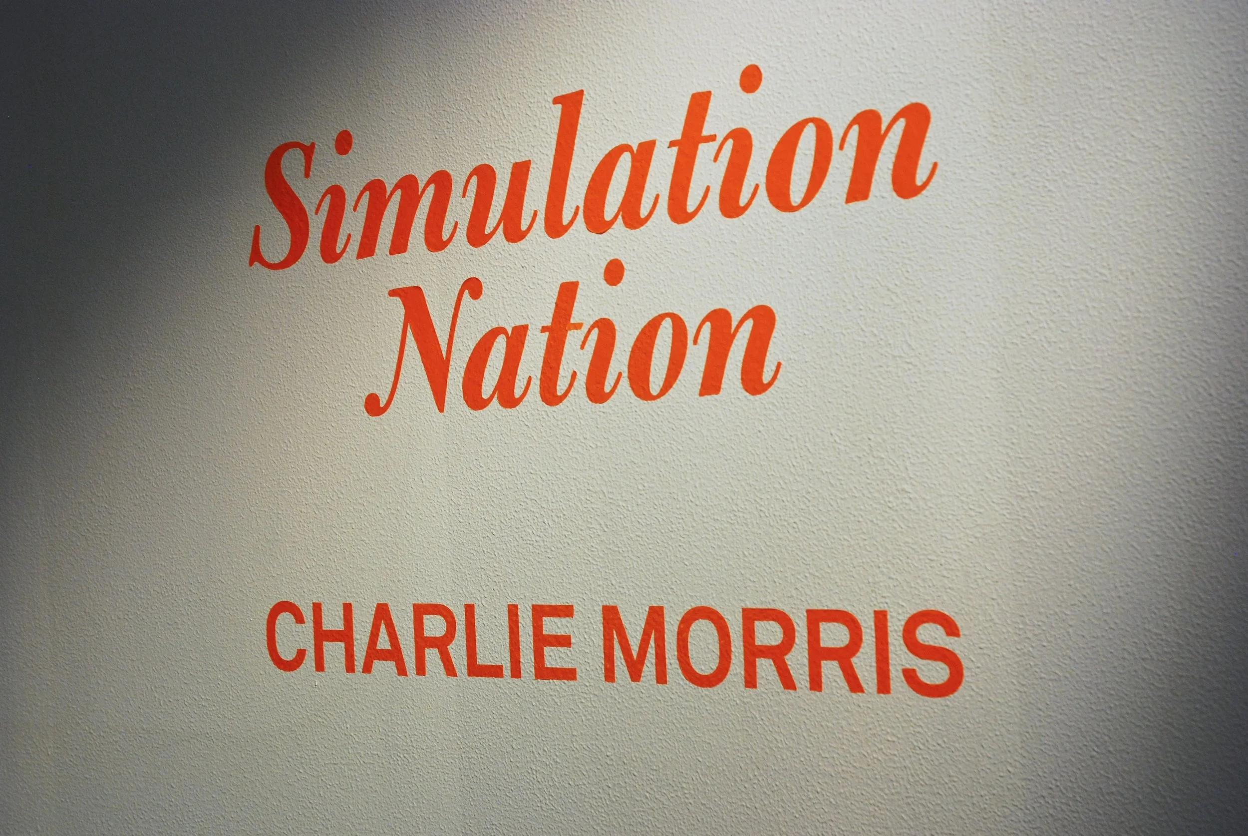 simulation title 1.jpg