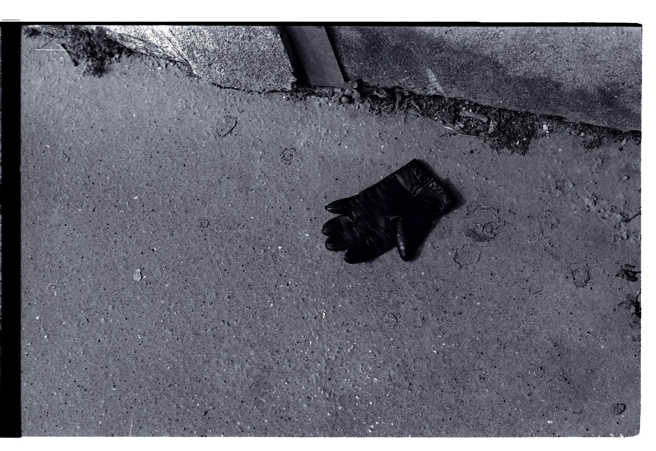 France NEW EXPORTS 2025-0013-5.jpg