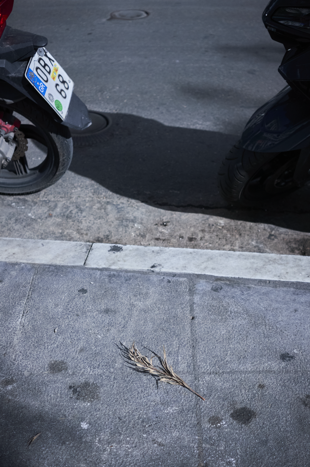 Screenshot 2024-06-11 at 12.58.07 AM.png