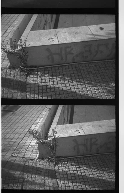 Greece 2024 Film Scans Demi20240312_56.jpg