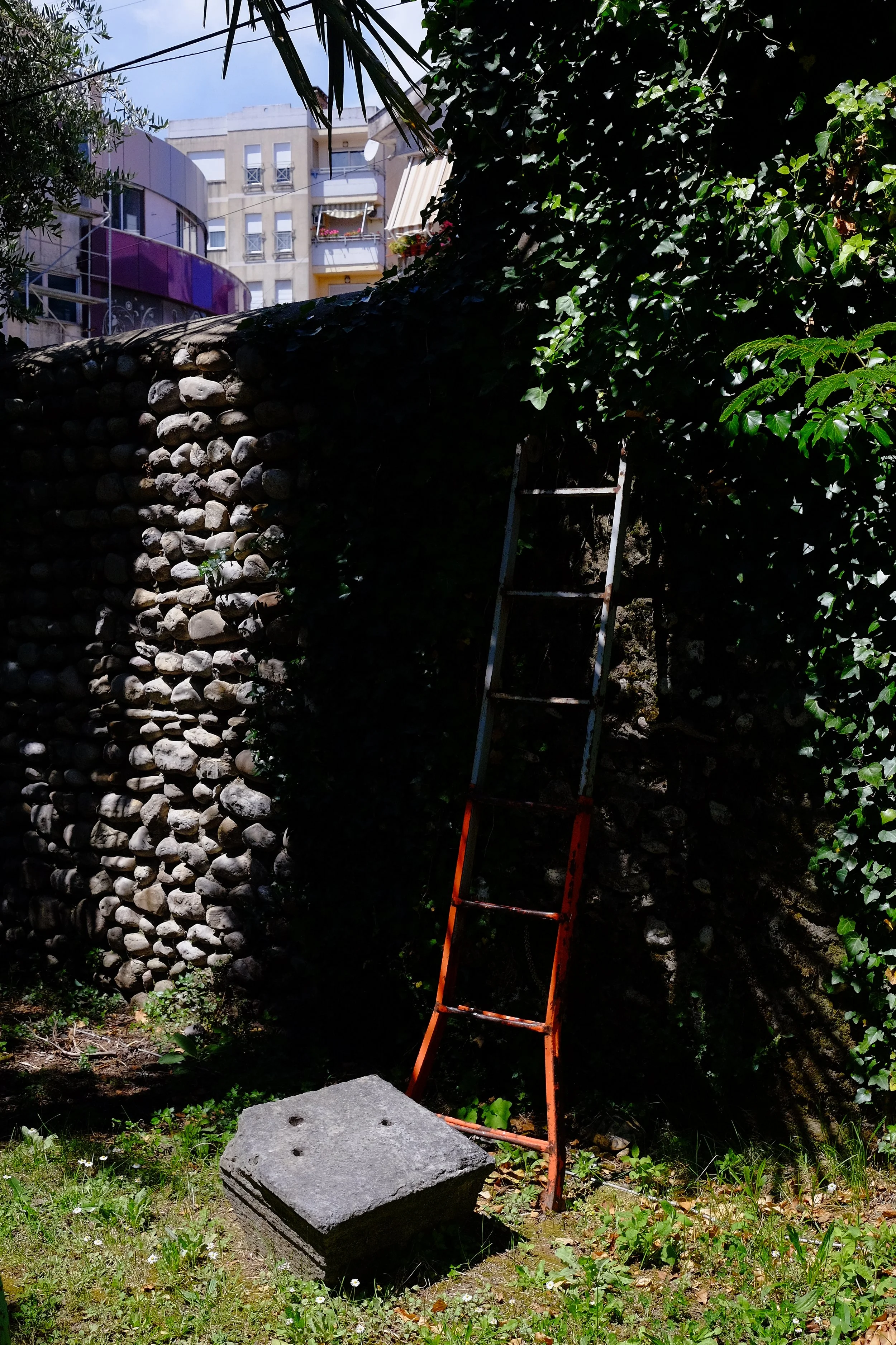 DSCF0818.jpg
