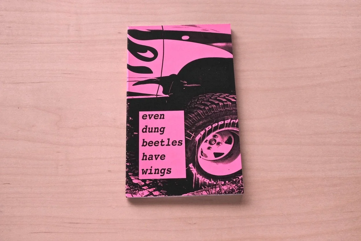 even dung beetles have wings