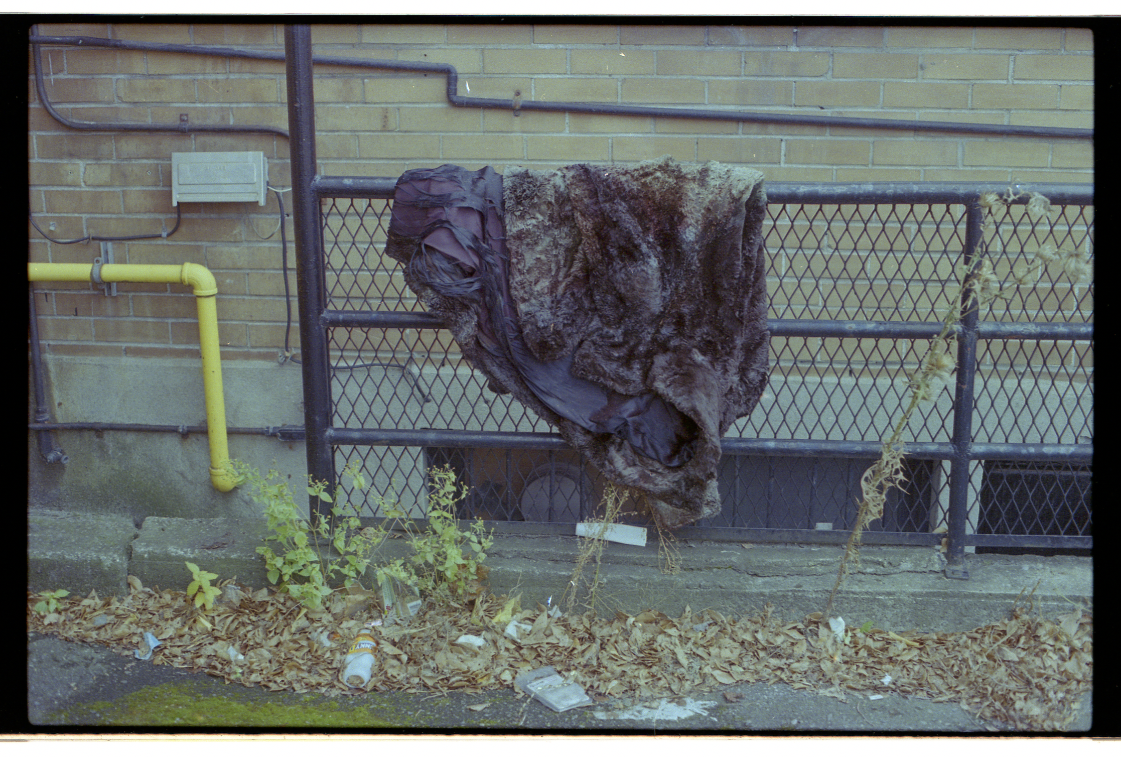 Screenshot 2025-04-03 at 10.00.15 PM.png