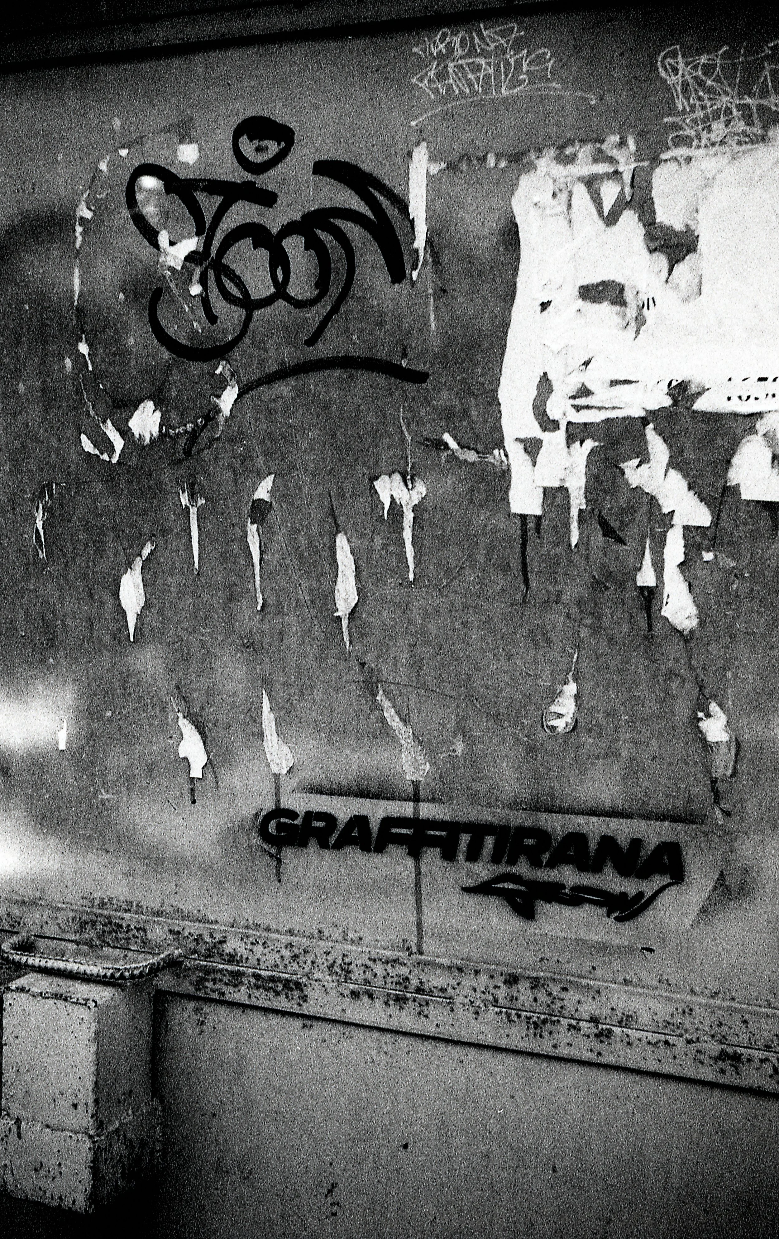 img135.jpg