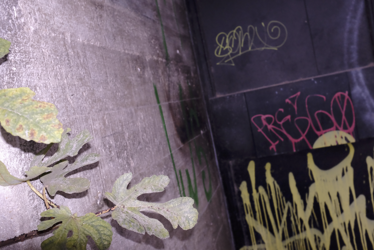 Cacilhas images for imovie youtube stream 2022 1.png