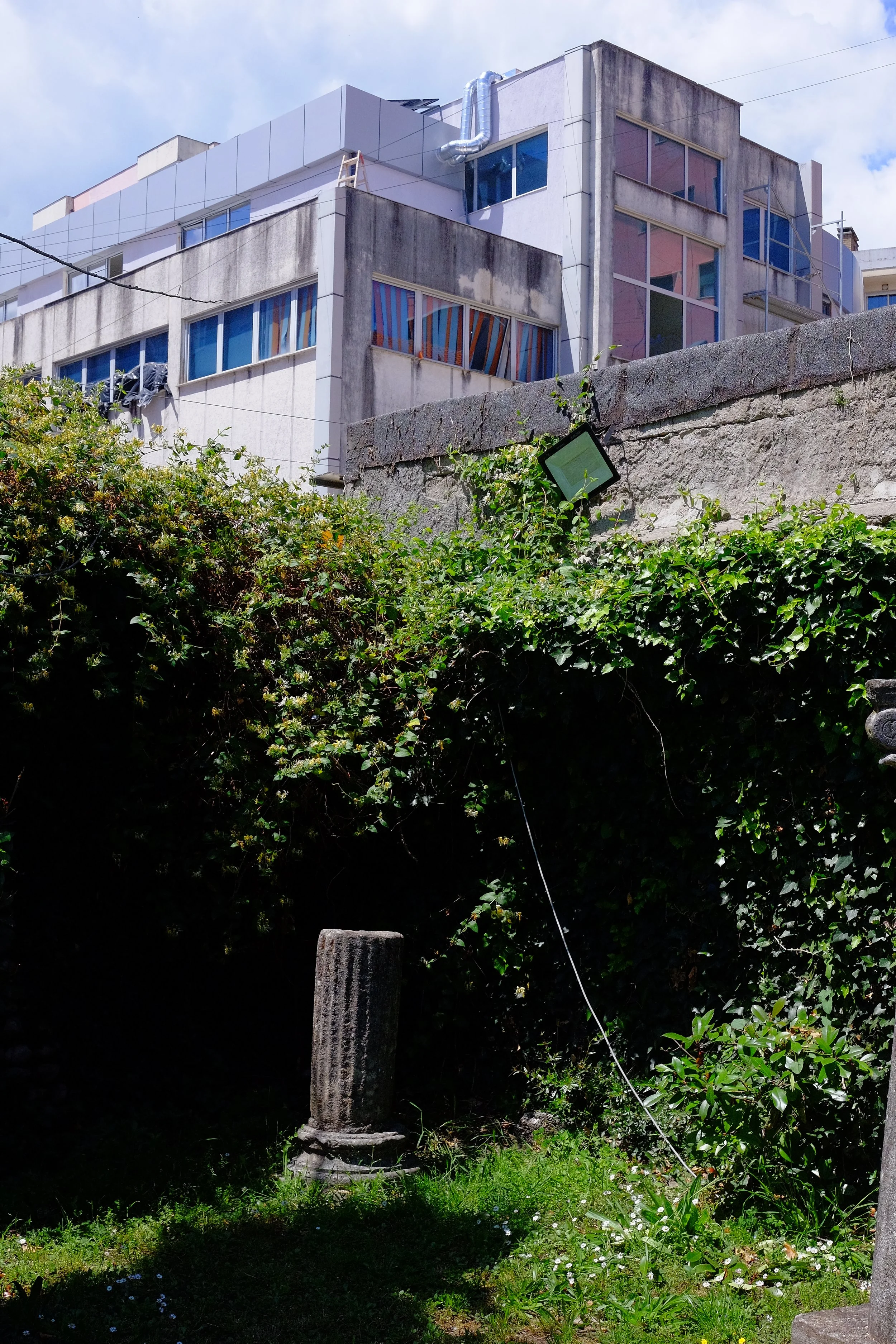 DSCF0816.jpg