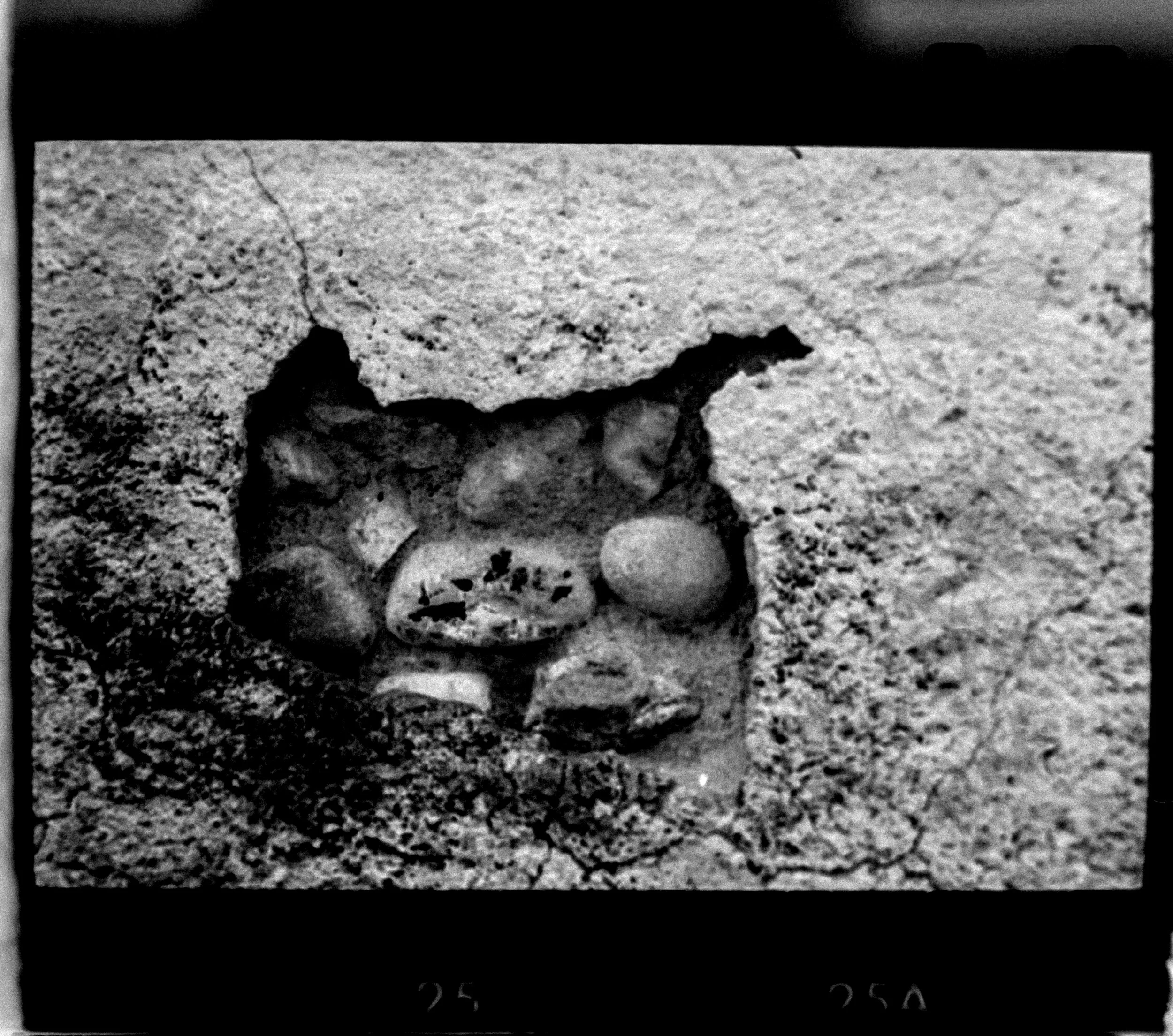 DSCF4129.jpg