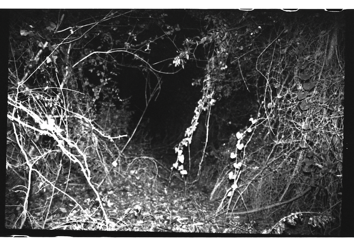 Screenshot 2025-06-22 at 4.51.16 PM.png