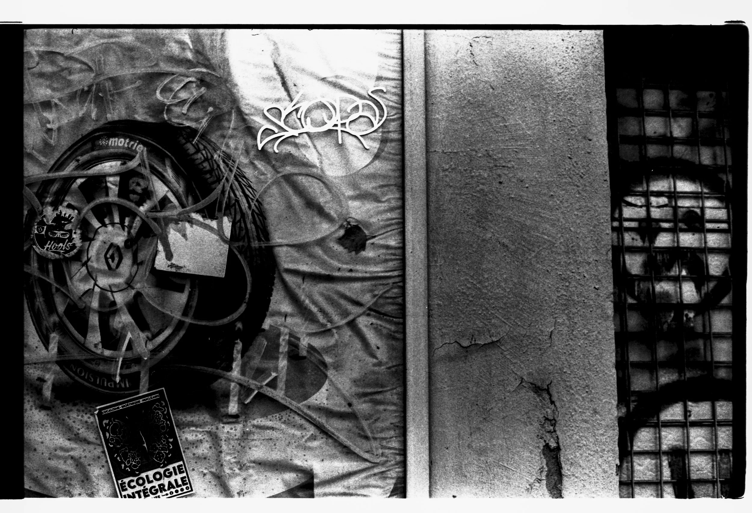 France Dijon-Lyon_20250328_0052-1.jpg