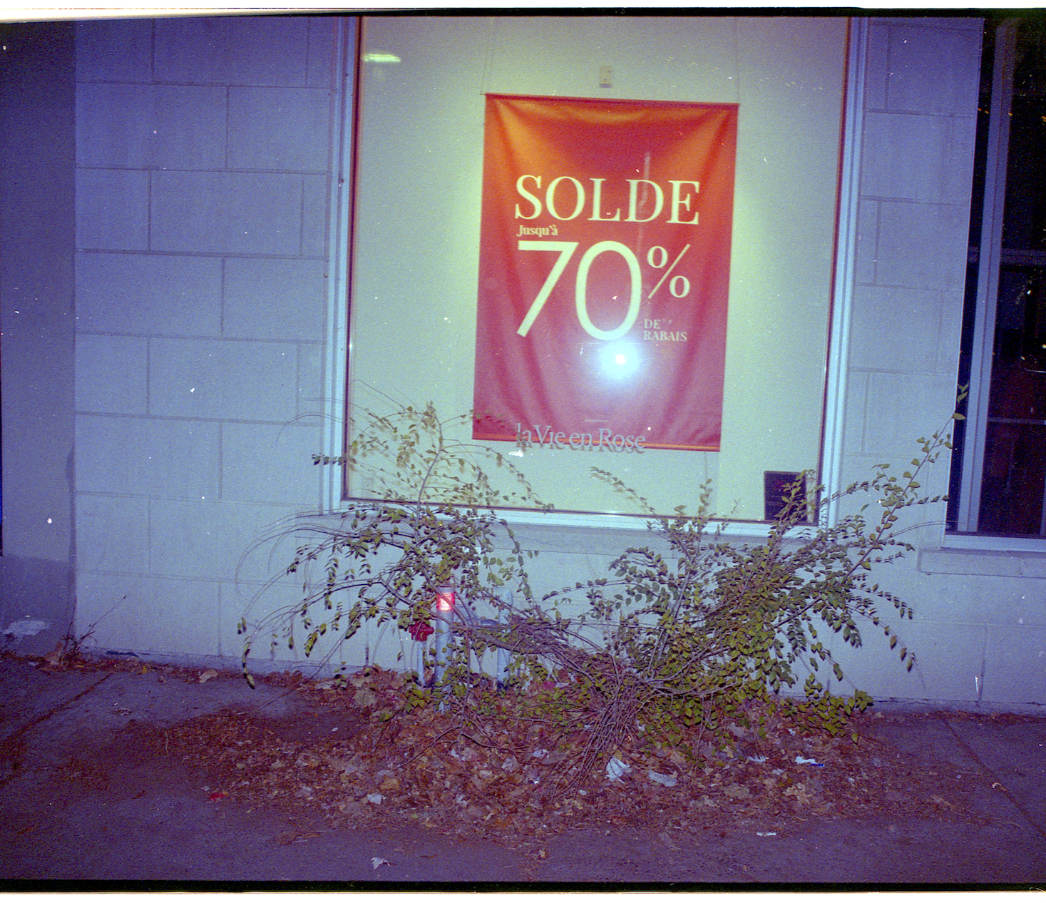 Screenshot 2024-12-18 at 11.21.37 PM.png