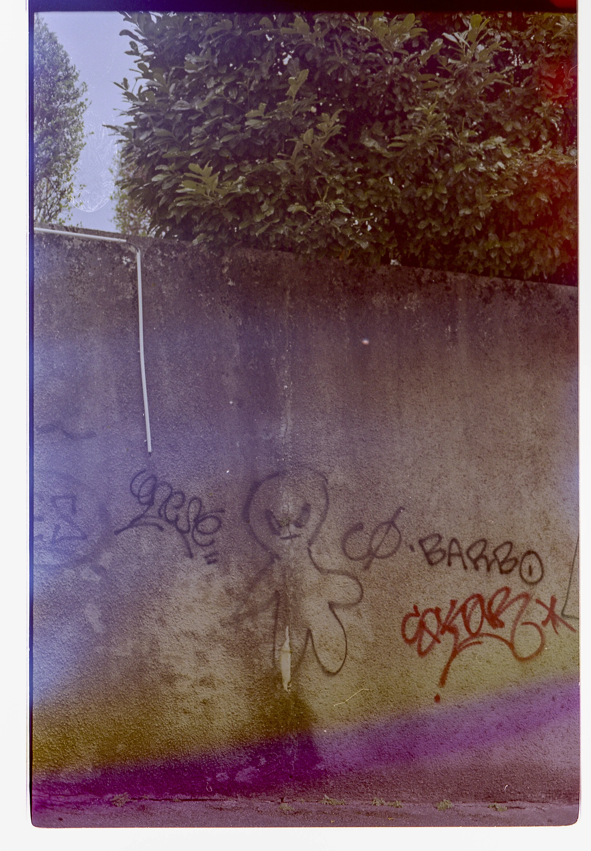 France Lyon_Color Scans_20250410_0008-1.jpg