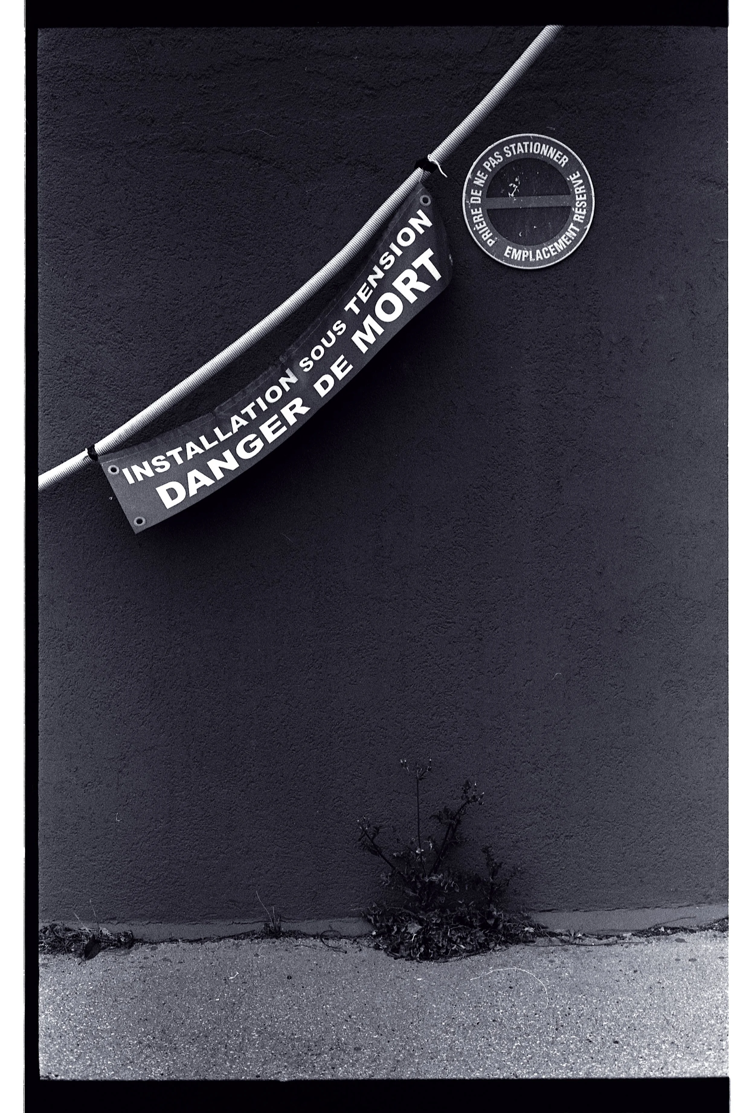 France NEW EXPORTS 2025-0097-7.jpg