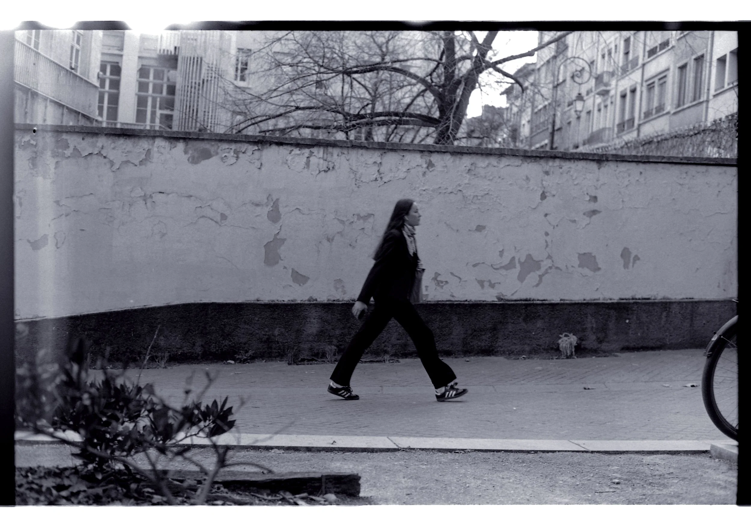 France Dijon-Lyon_20250328_0001 copy-4.jpg