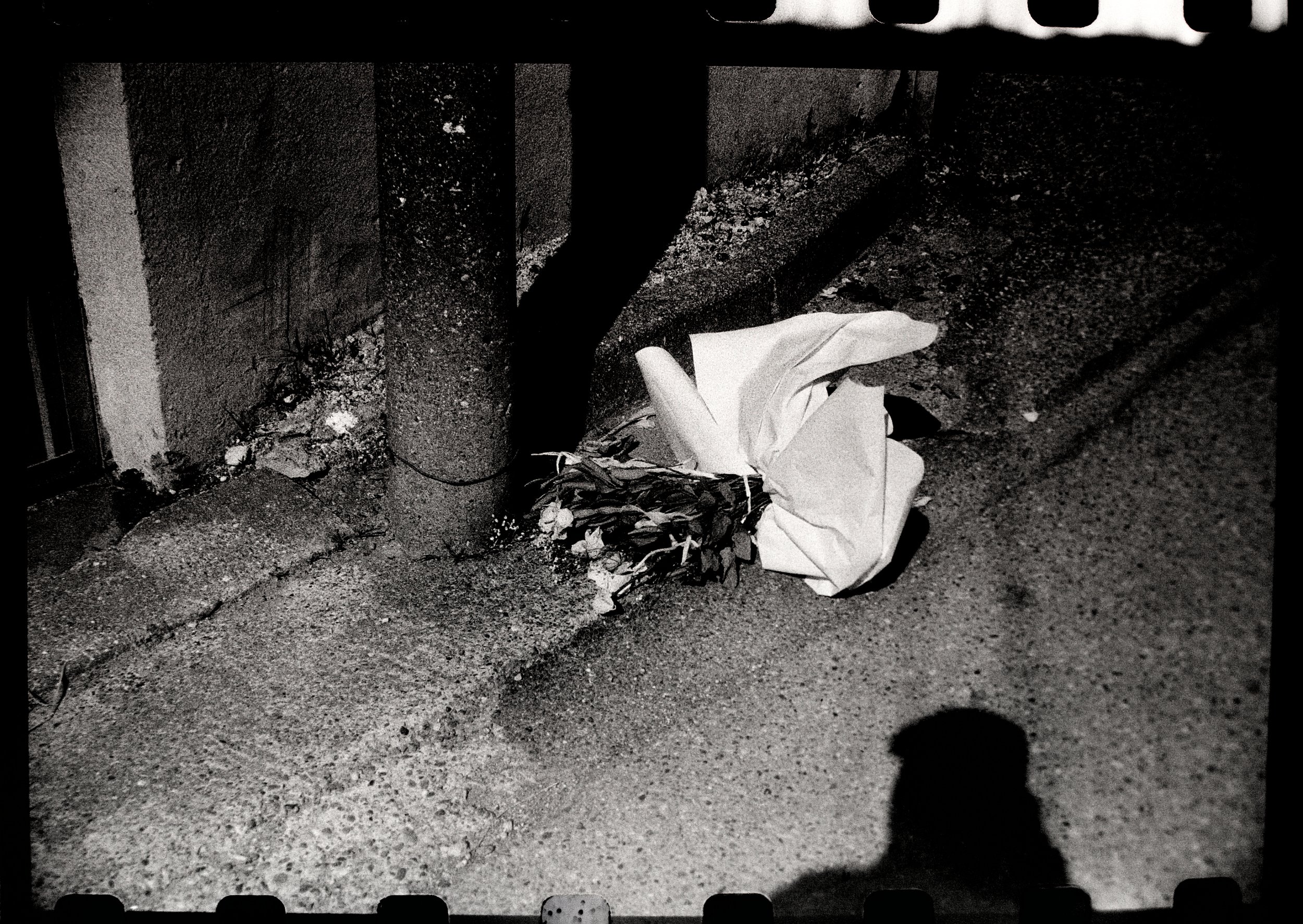 DSCF3832.jpg