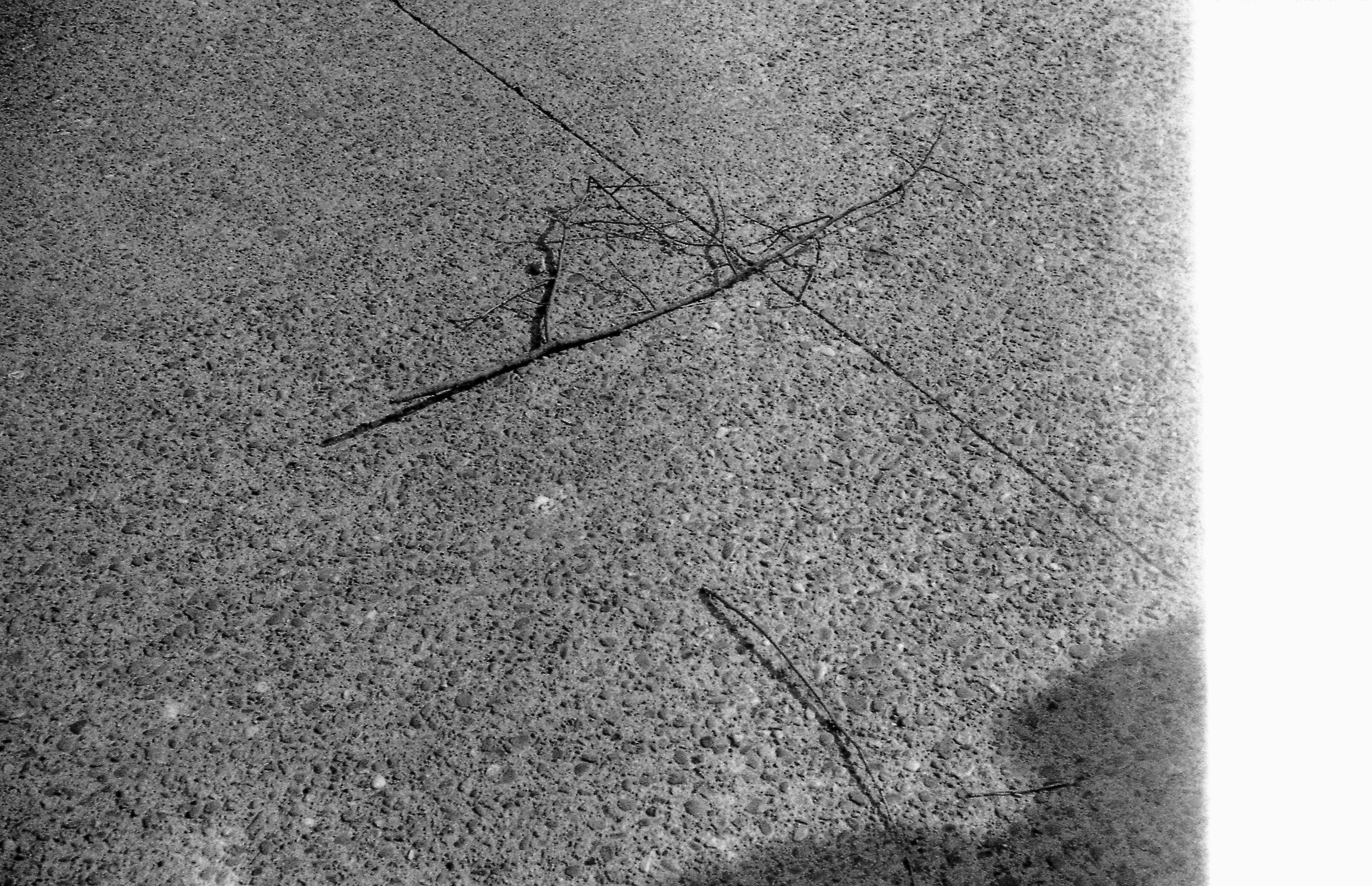 img136.jpg