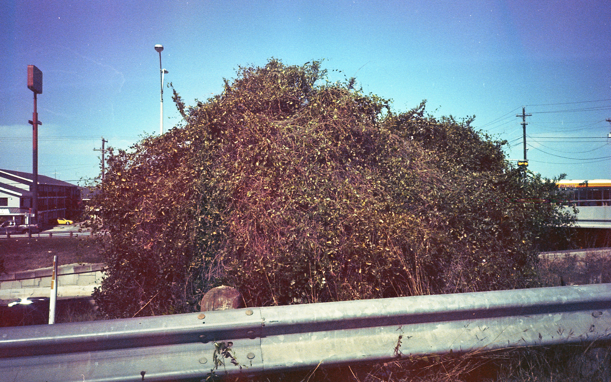 Screenshot 2025-04-23 at 1.13.48 AM.png