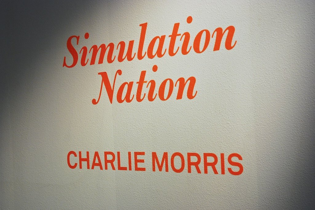 Simulation Nation