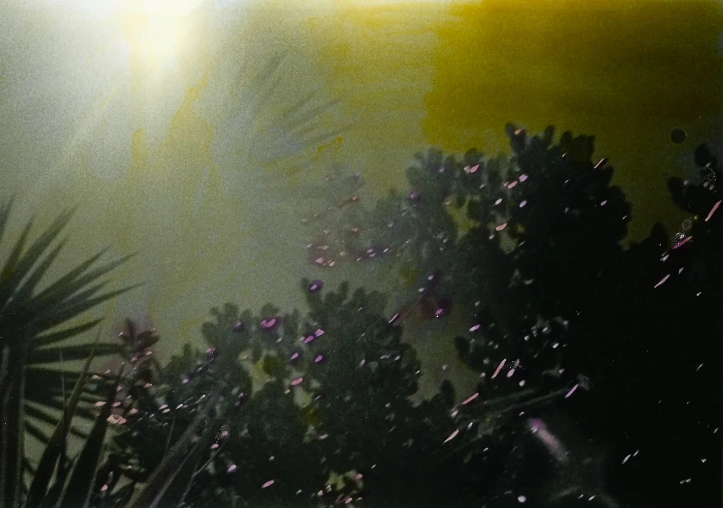 2020-2021 - IDwellInAllThisMystery_BrunaMarques-05.jpg