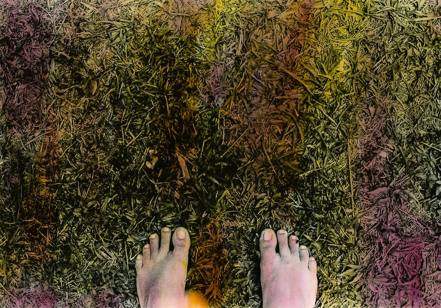 2020-2021 - IDwellInAllThisMystery_BrunaMarques-02.jpg