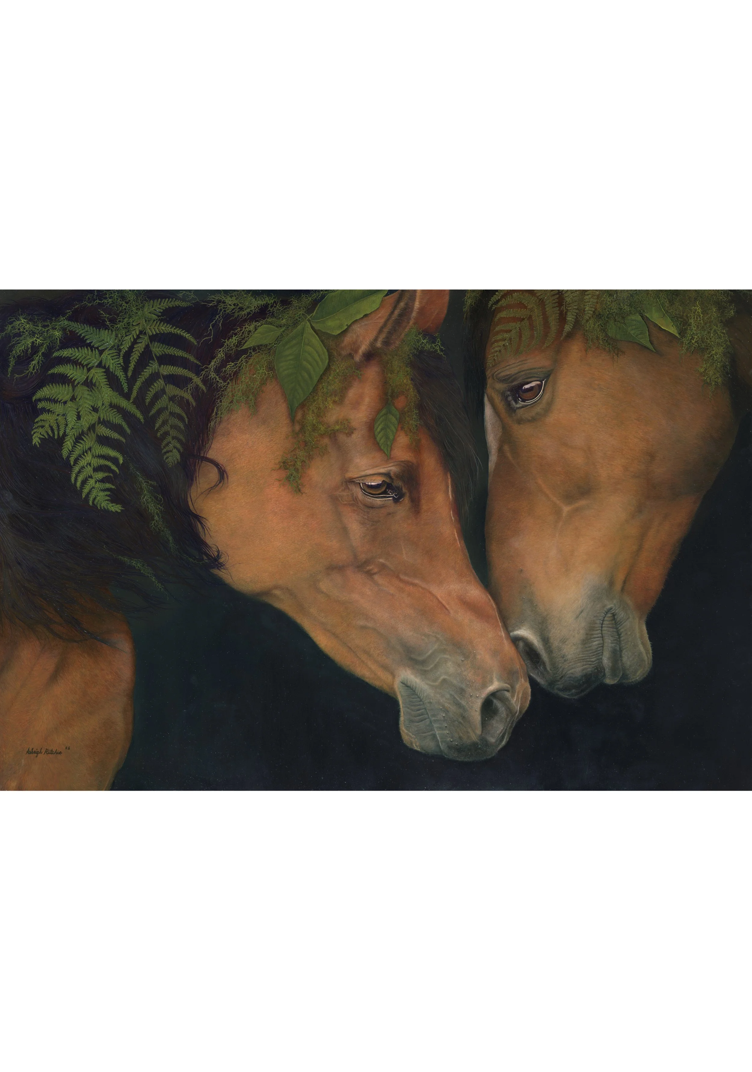 AR900x650x30Moss&Mane3 copy.jpg