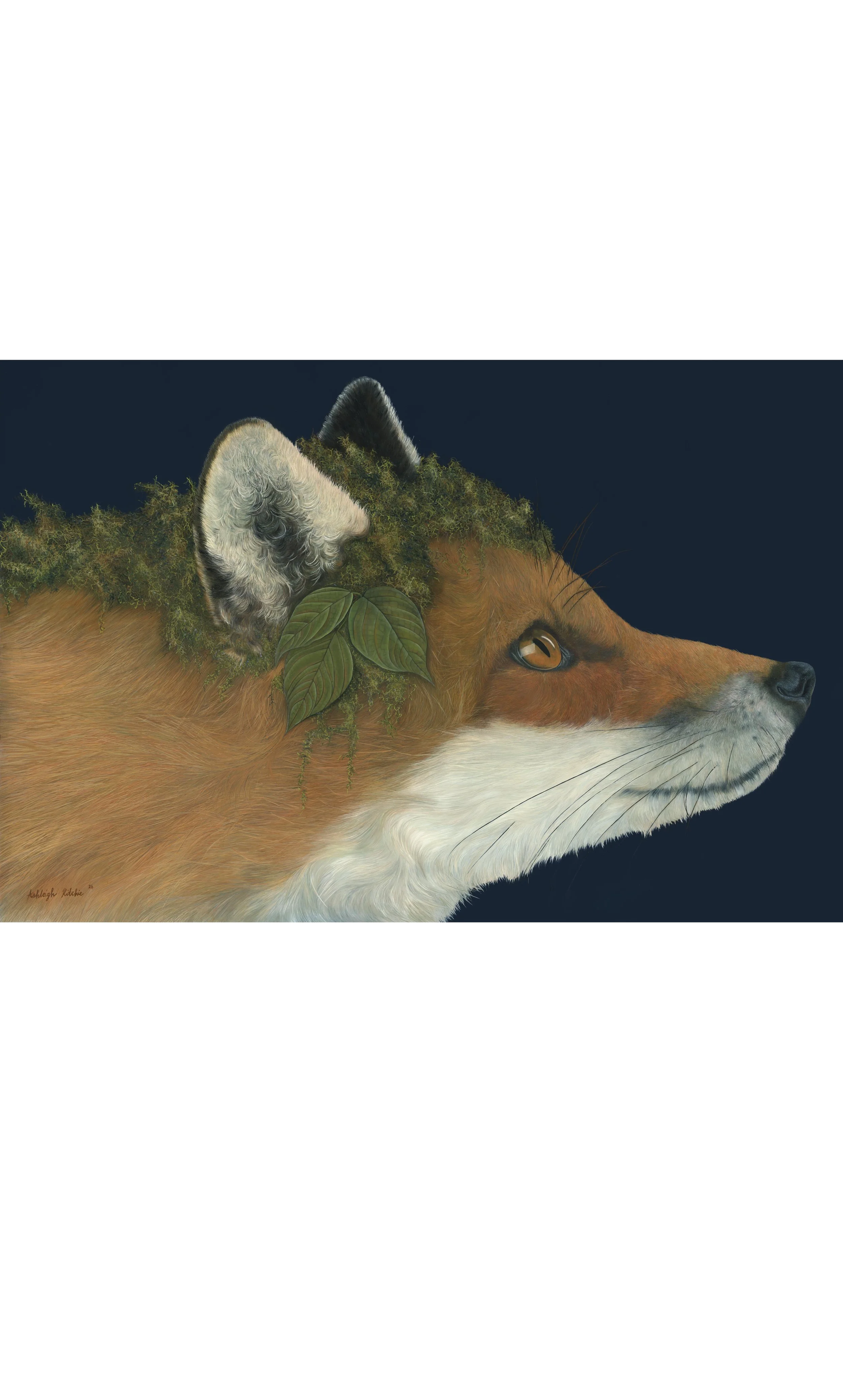 Moss & Fox.jpg